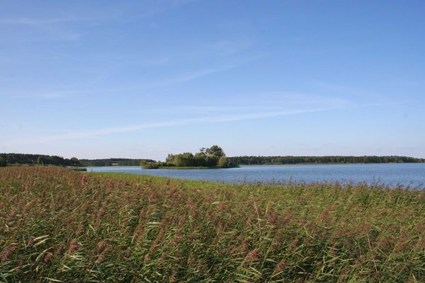 Inselblick Badeplattform